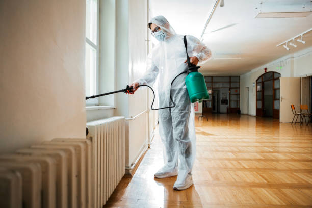 Best Residential Pest Control  in Rangely, CO